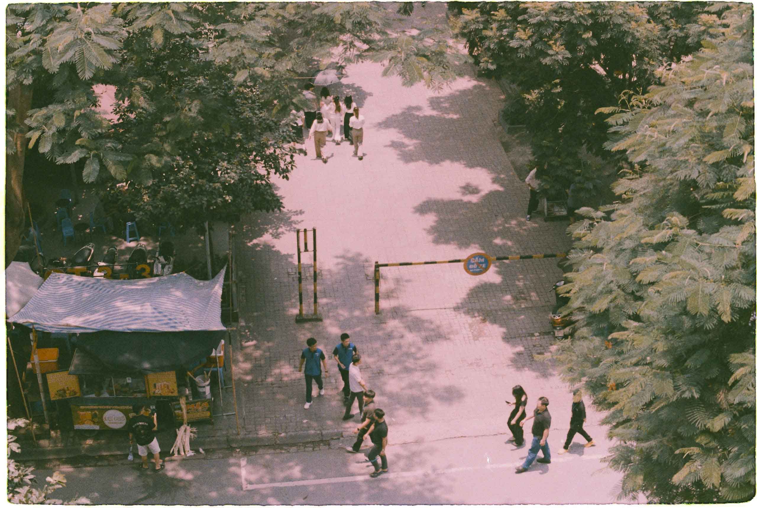 Konica Minolta 100/24exp nội địa - Image 11